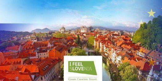 THE DEVELOPMENT OF THE SOCIAL ECONOMY IN SOUTH-EASTERN EUROPE