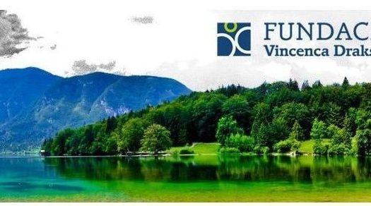 Fundacija Vincenca Drakslerja za odvisnike