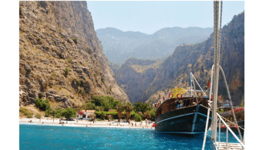 ART+ Umetnost in integracija