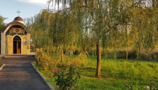 Combating social marginalization and exclusion in the Danube region