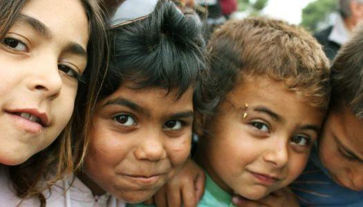 POROČILO ROMA CIVIL MONITOR #2