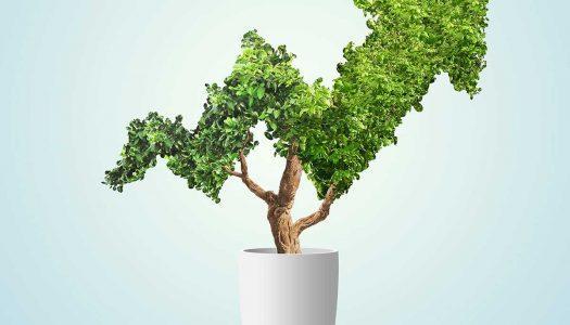 SURFACE – online konferenca