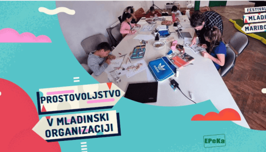 PROSTOVOLJSTVO V MLADINSKI ORGANIZACIJI