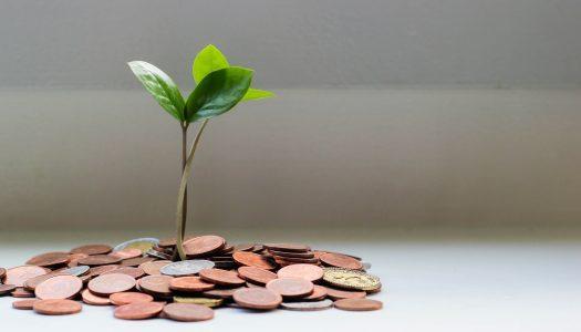 GRANTS FOR ROMA STUDENTS