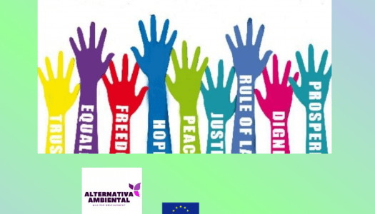 Mobilnost mladinskih delavcev – RISE