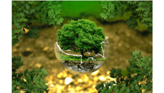World Earth Day – Miss of the Trees