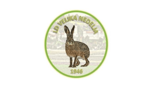 Cleaning action in the hunting association Velika Nedelja