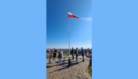 EDSI – Poland