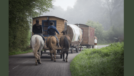Predstavitev mariborske romske kulturne dediščine v javnem prostoru
