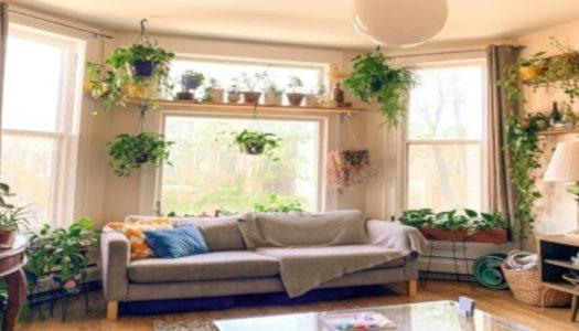 Urbani vrt za majhna stanovanja