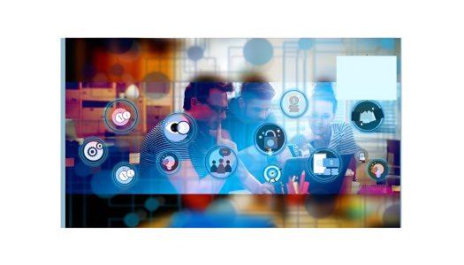 MY PLAN YOUR BUSINESS