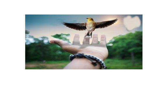 11. FESTIVAL MLADI MARIBOR