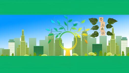 Furnishing rooms in an environmentally friendly way
