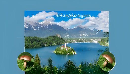 Field trip: Mycological monitoring at Lake Bohinj and Savica Waterfall