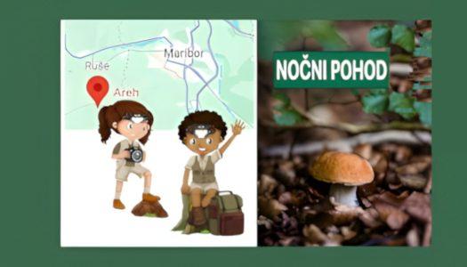 Nočni gobji pohod z UV svetilkami