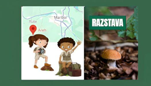 Razstava gob – Pohorski gozdovi, Areh