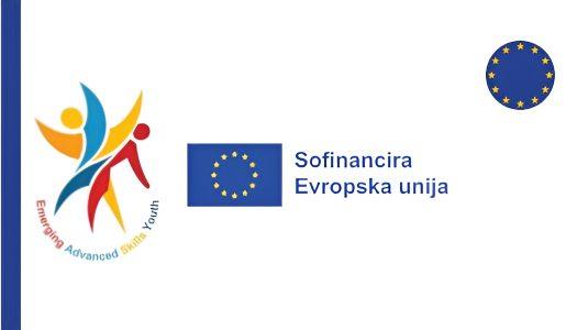 EASY – Emerging Advanced Skills Youth