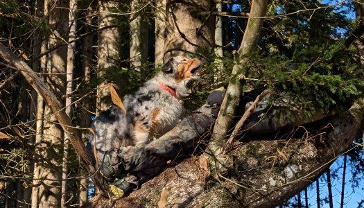 Podpiramo prostovoljno delo naših zaposlenih