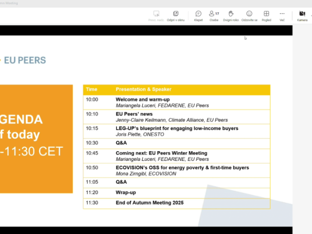 Webinar Screenshot - Zajem zaslona spletnega seminarja