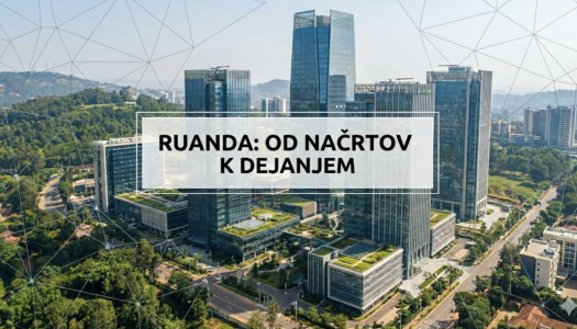 Follow-up Meeting After the Development-Business Mission to Rwanda