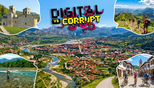 APPLICATION INVITATION: Project DigitalVScorrupt